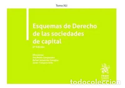 books: Tomo XLI Esquemas de Derecho de las Sociedades de Capital- 9788413555379