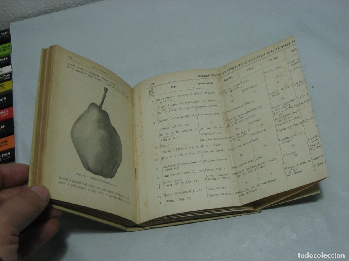 Libros: FRUTTICOCOLTURA - Prof. Dott. D. Tamaro - Foto 2