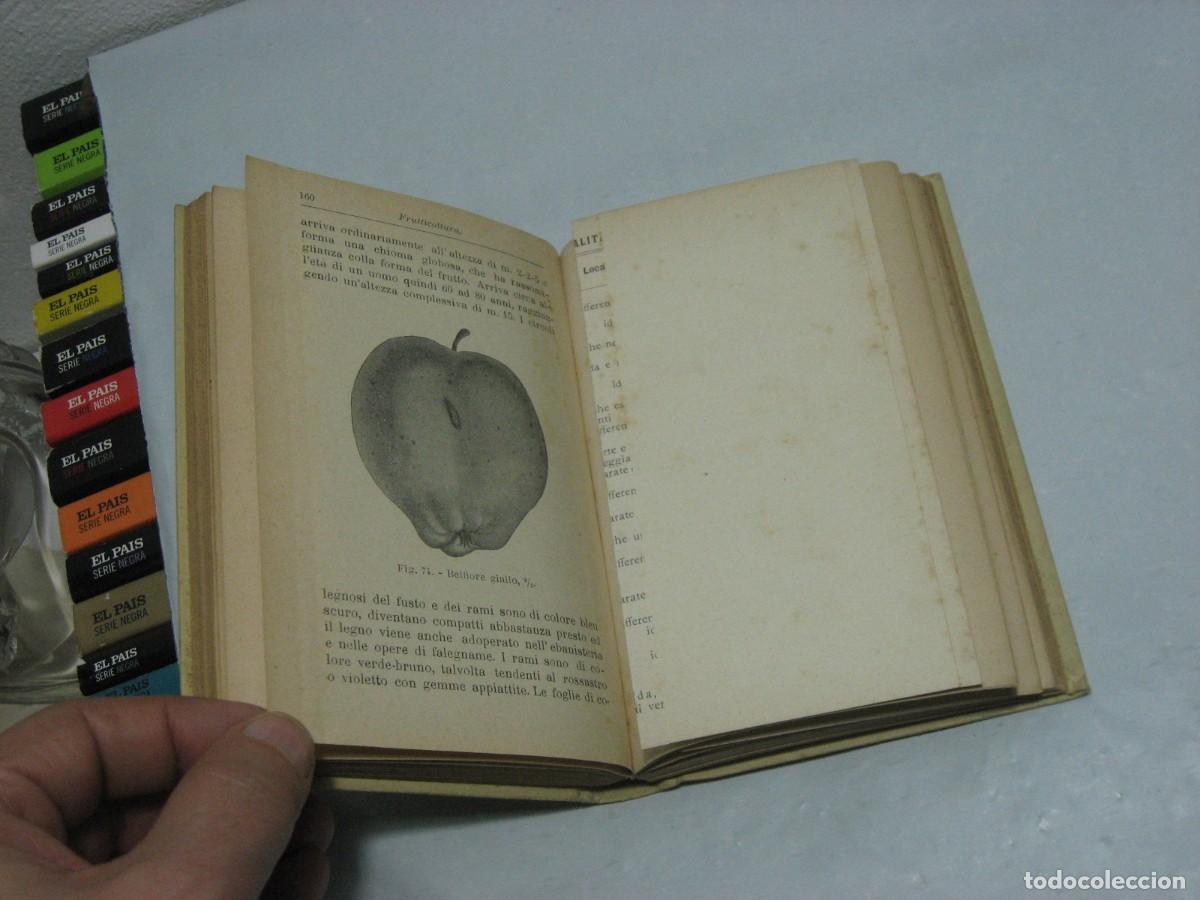 Libros: FRUTTICOCOLTURA - Prof. Dott. D. Tamaro - Foto 3