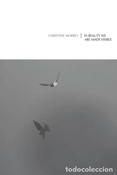 Livros em segunda m&atilde;o: In Beauty We Are Made Visible- 9781957483016