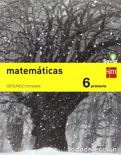 Libri di seconda mano: Matem&aacute;ticas 6 Primaria Savia- 9788467575675