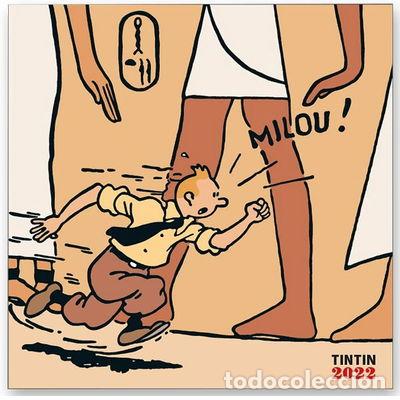 Libros: Tintin Calendario de pared 2022- 9782874245176
