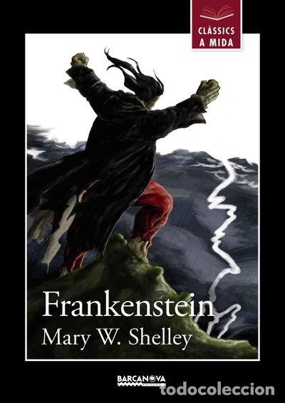 Libros: Frankenstein- 9788448934927