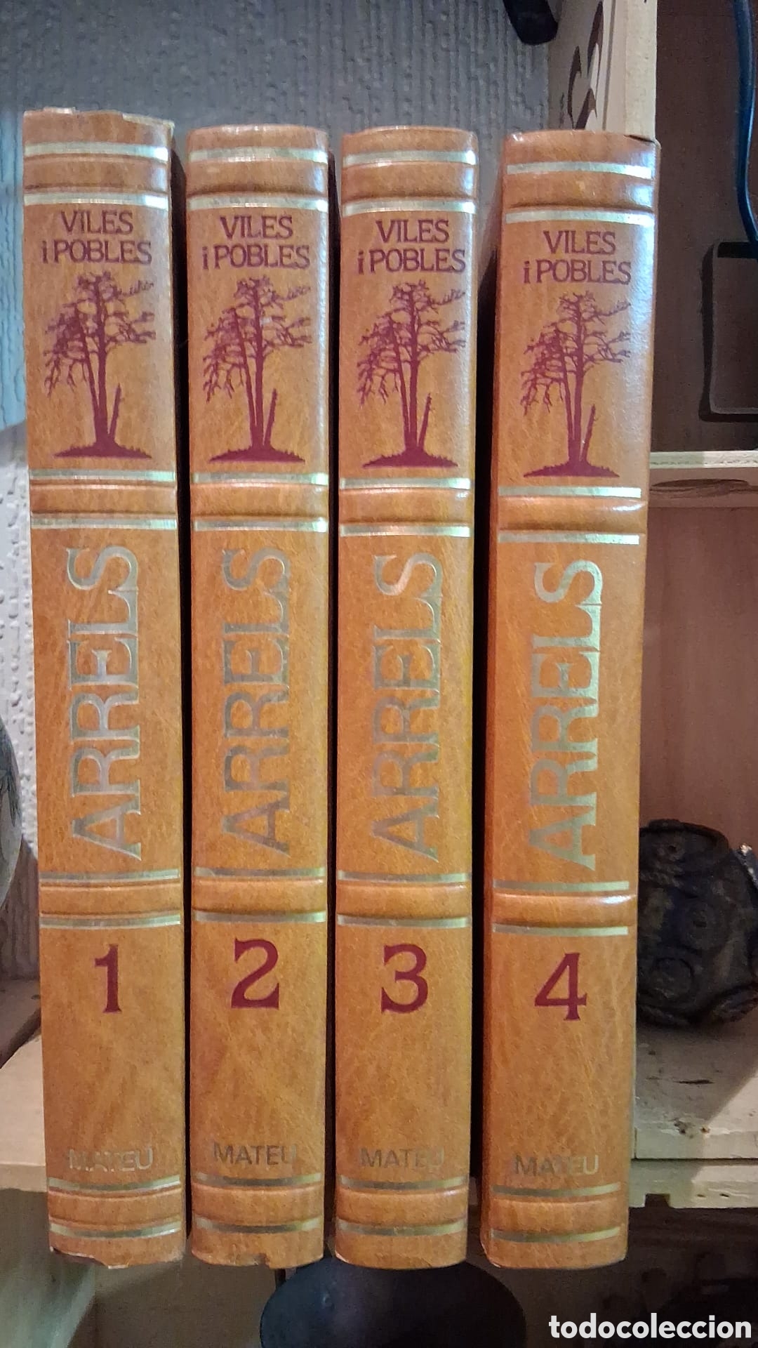 books: Lote de 4 tomos arrels ,viles i pobles