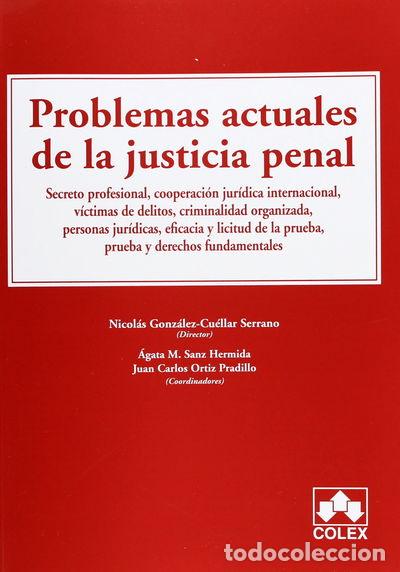 Livres: Problemas actuales de la justicia penal- 9788483423691