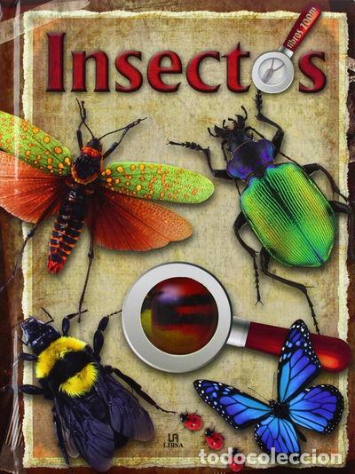 Libros: Insectos- 9788466225106 - Foto 1