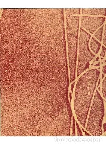 Libros: Biolog&iacute;a de la c&eacute;lula- 9788428202824 - Foto 1