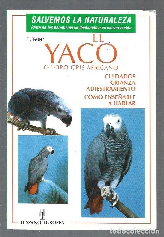 Libros: YACO O LORO GRIS AFRICANO - EL - R. TEITLER - Foto 1