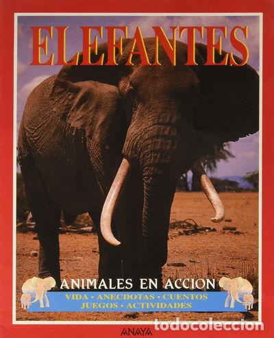 Libros: Elefantes- 9788420743219