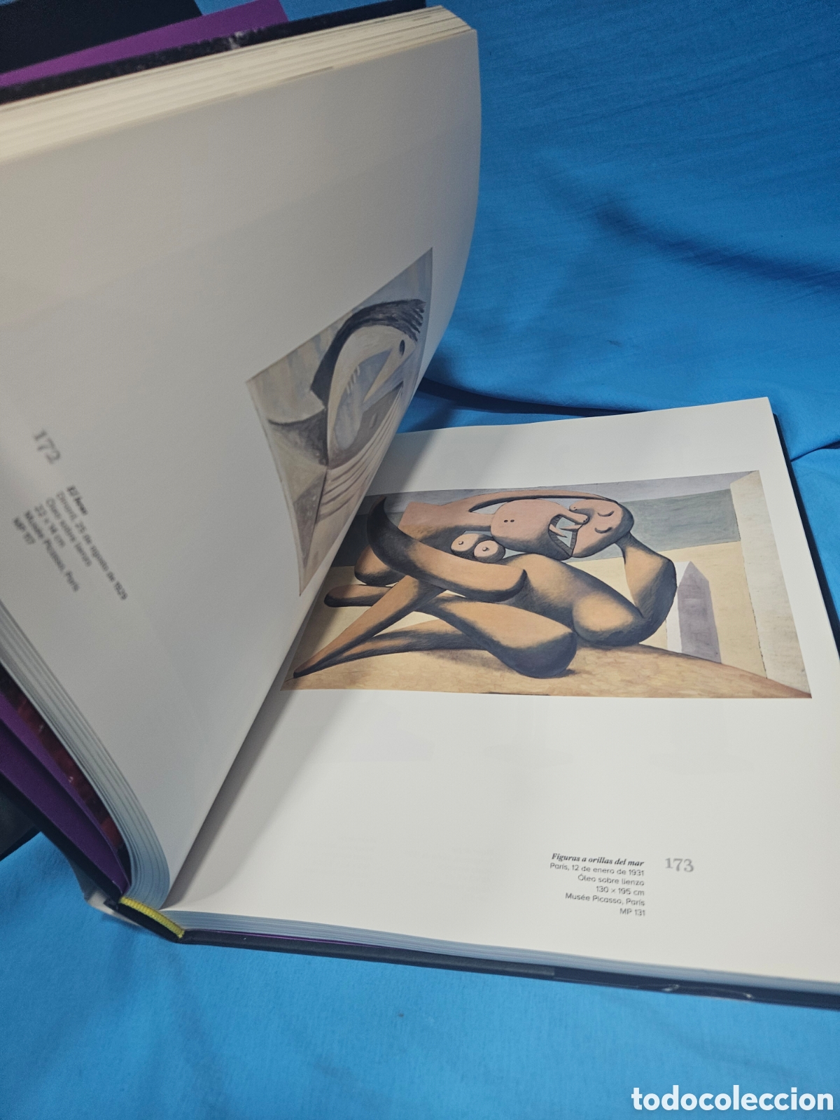 Libros: PARIS. LA COLECCION DEL MUSEO NACIONAL. PICASSO - Foto 4