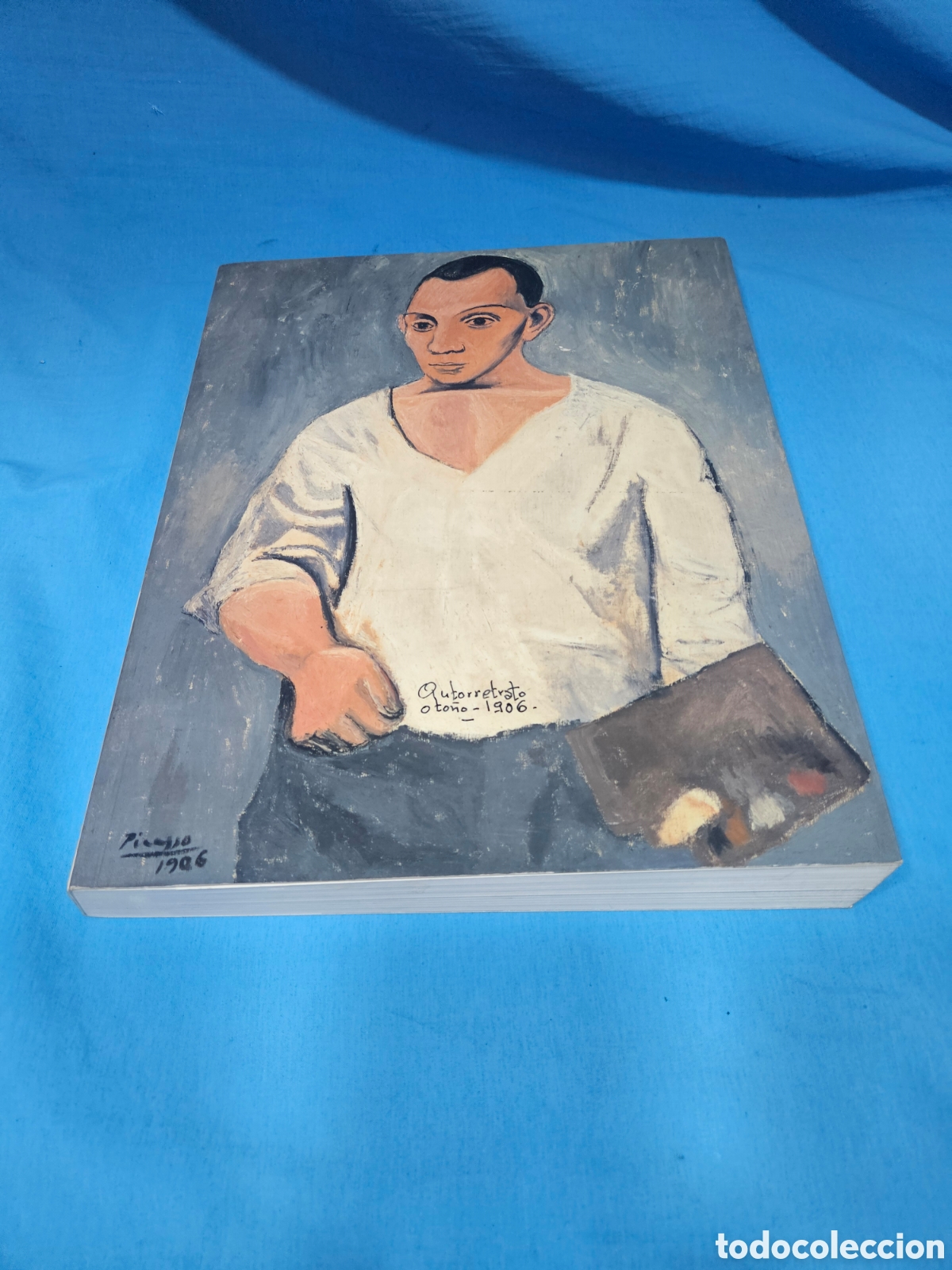 Libros: PICASSO TRADICION Y VANGUARDIA - Foto 1