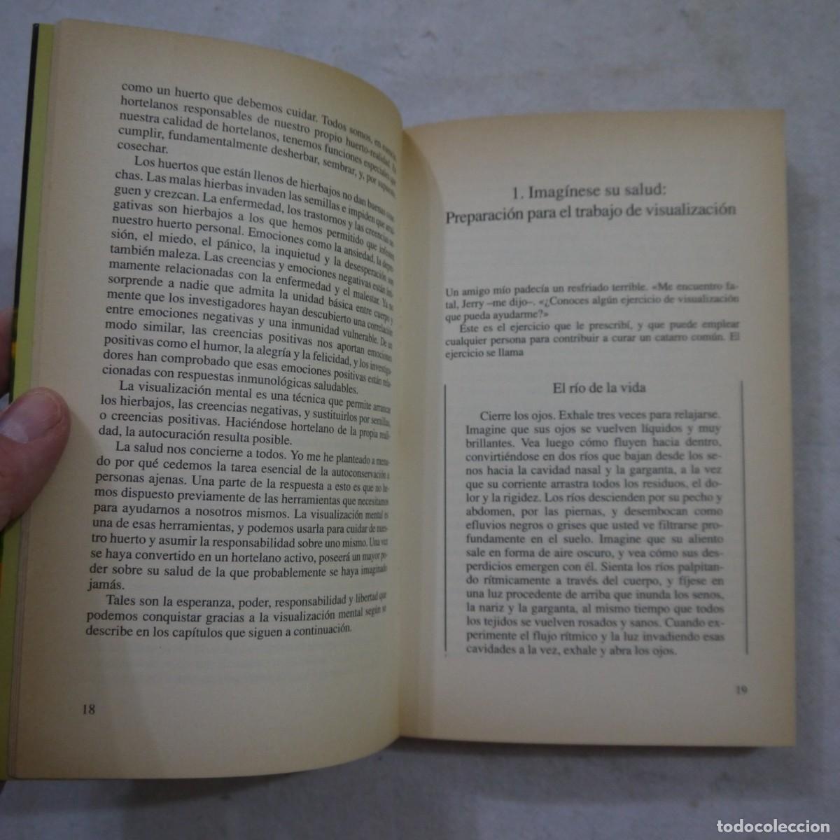 Libros: VISUALIZACI&Oacute;N CURATIVA - GERALD EPSTEIN - ROBINBOOK - 1991 - Foto 7