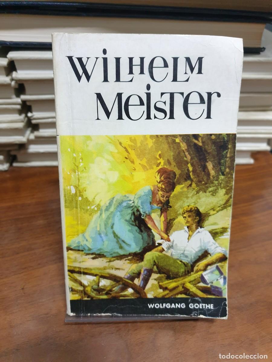 Libros: Wilhelm Meister Wolfgang Goethe - Foto 1