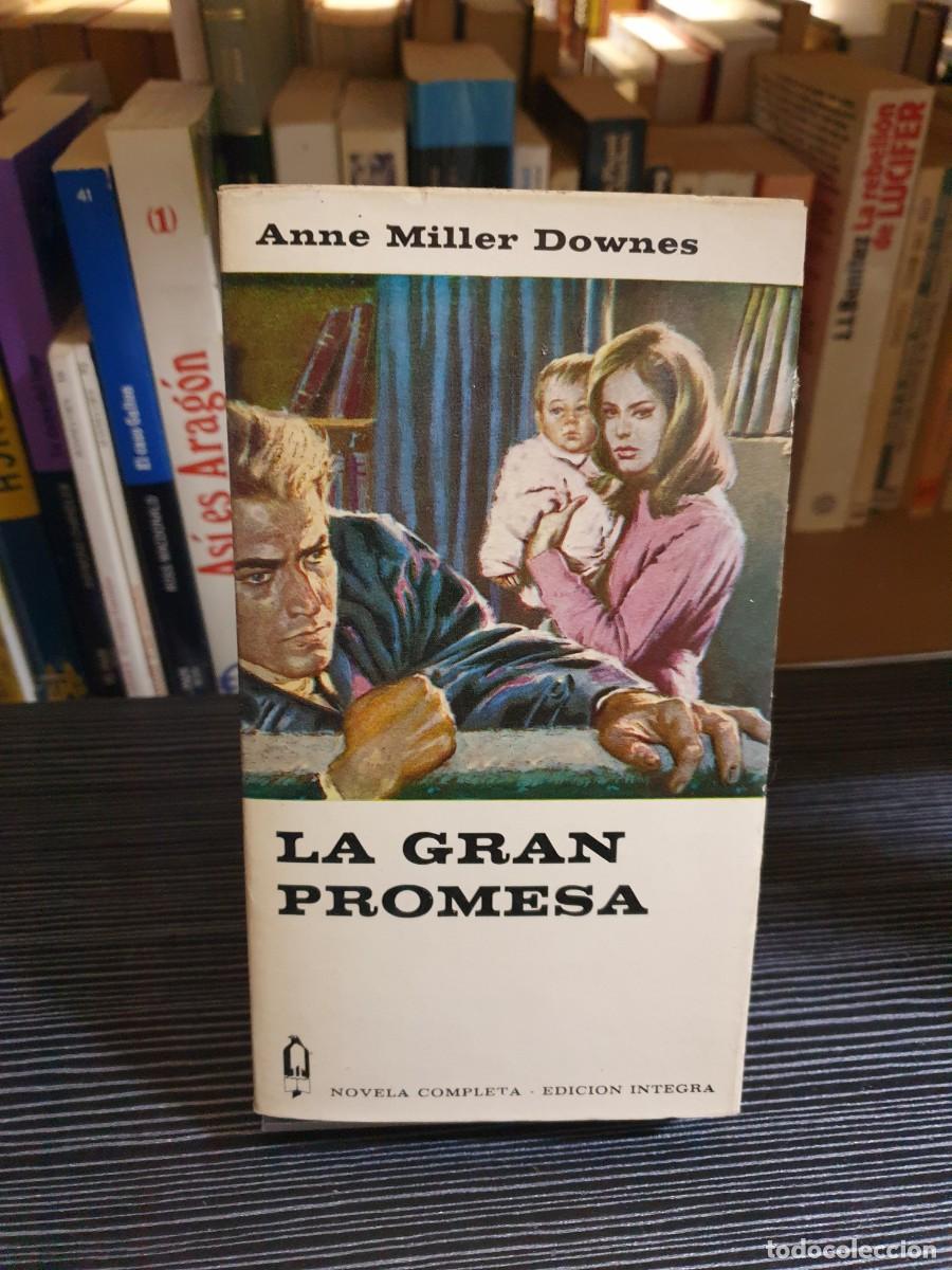 Libros: La gran promesa Anne Miller Downes - Foto 1