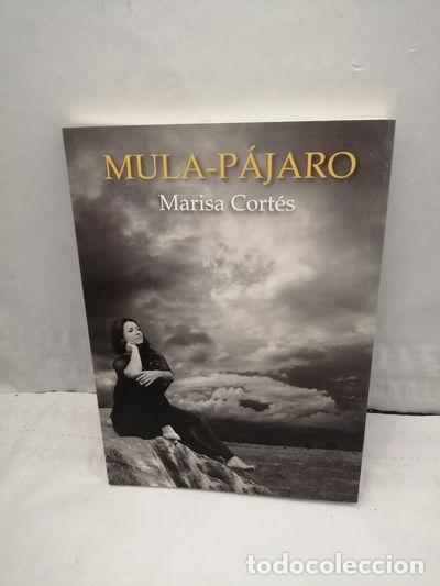Livros em segunda m&atilde;o: Mula-p&aacute;jaro- 9788418600586