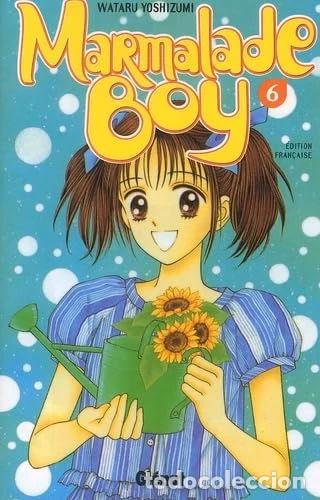 Libros: Marmalade Boy, tome 6- 9782723440080 - Foto 1