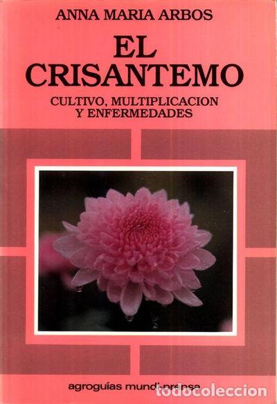 Livros em segunda m&atilde;o: El Crisantemo- 9788471143846