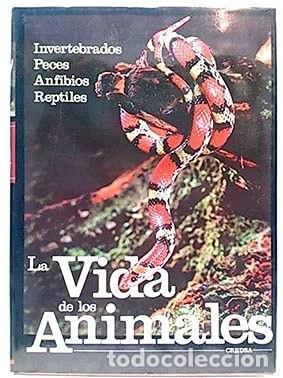 B&uuml;cher: La vida de los animales. Tomo 2. Invertebrados, peces, anfibios, reptiles- 9788470562648