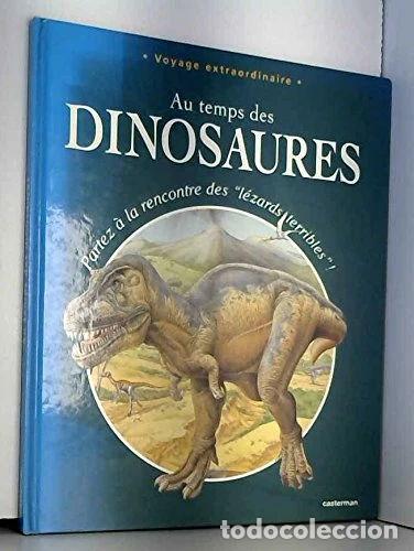 Livres: Au Temps Des Dinosaures- 9782203156142