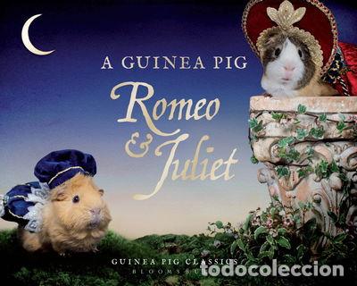 Libros: A Guinea Pig Romeo & Juliet- 9781408890646