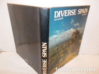 Libros: Diverse Spain- 9788477820215