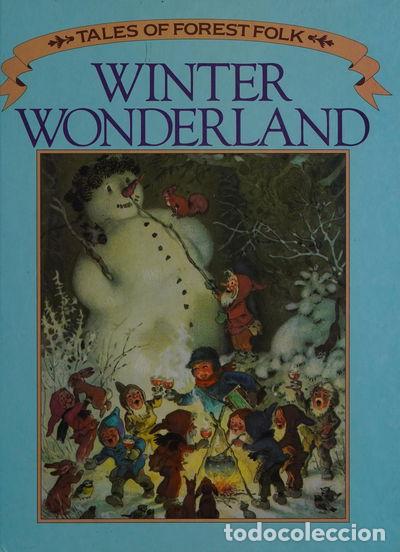 Libros: Winter Wonderland- 9781870461214 - Foto 1