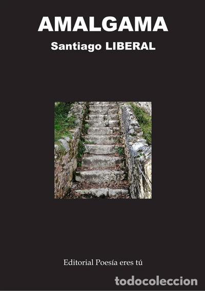 Libros: Amalgama- 9788493757199 - Foto 1
