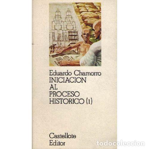 Libros: INICIACION AL PROCESO HISTORICO I - EDUARDO CHAMORRO - Foto 1