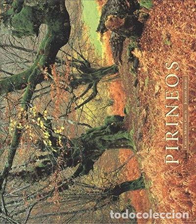 Libros: Pirineos- 9788493116545
