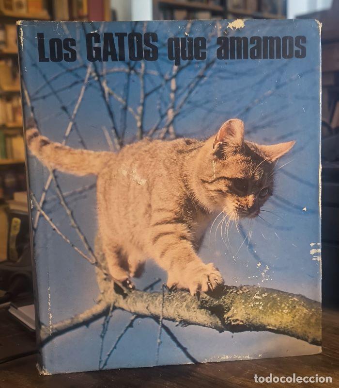 Libros: LOS GATOS QUE AMAMOS - A. E. Brehm y Buffon - Foto 1