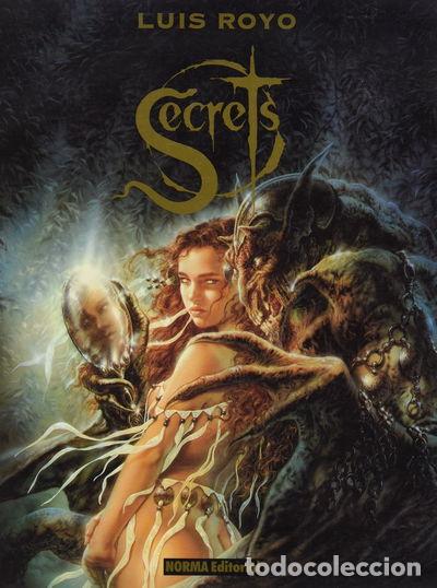 Libros: Secrets- 9788479043506 - Foto 1