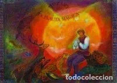 Libros: La flauta m&aacute;gica- 9788489825826