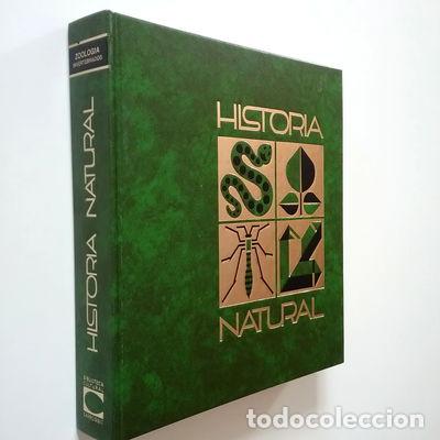Libros: Historia Natural. Zoolog&iacute;a. Invertebrados- 9788472543058