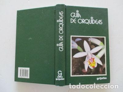 Libros: Gu&iacute;a de orqu&iacute;deas- 9788425321139 - Foto 1