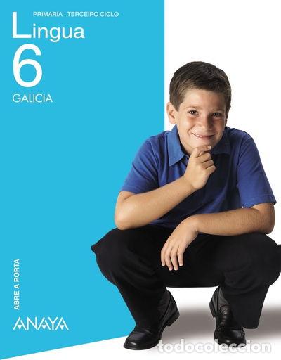 Libros: Lingua 6- 9788466780704 - Foto 1
