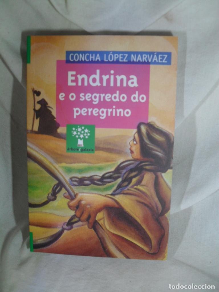 Libros: ENDRINA E O SEGREDO DO PEREGRINO - CONCHA LOPEZ NARVAEZ - Foto 1