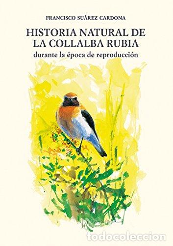 Libros: Historia Natural de la Collalba Rubia durante la &eacute;poca de reproducci&oacute;n. - Su&aacute;rez Cardona, Francisco
