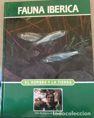 Libros: Enciclopedia Salvat de la Fauna Ib&eacute;rica y Europea. El Hombre y la Tierra. Tom...- 9788488063144