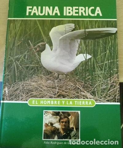 Libros: Enciclopedia Salvat de la Fauna Ib&eacute;rica. El Hombre y la Tierra. Tomo 13- 9788488063137