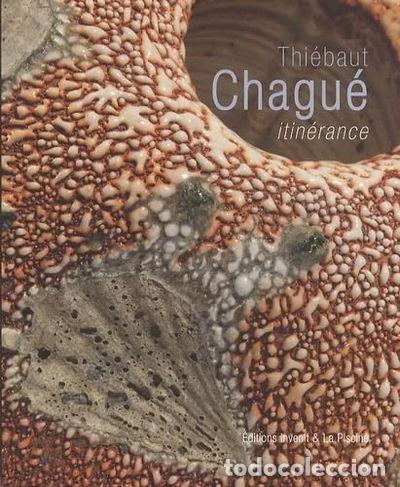 Libros: Thi&eacute;baut Chagu&eacute;, itin&eacute;rance- 9782918698463 - Foto 1