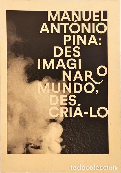 Libros: SALTEIRO. (Il&iacute;dio) e outros. - MANUEL ANT&Oacute;NIO PINA: DESIMAGINAR O MUNDO, DESCRI&Aacute;-LO.