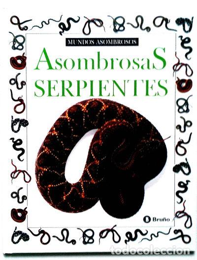 Libros: Asombrosas Serpientes- 9788421612712 - Foto 1