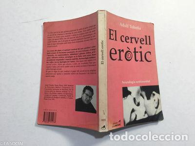 Libros: El cervell er&ograve;tic- 9788488791238 - Foto 1