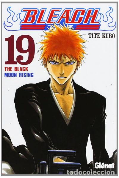 Libros: Bleach 19- 9788483573433 - Foto 1