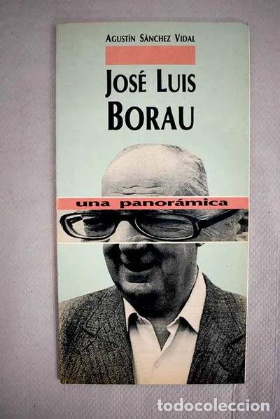 Libri di seconda mano: Jos&eacute; Luis Borau: Una panor&aacute;mica- 9788400067212