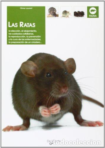Libros: Las Ratas - Olivier Laurent - Foto 1