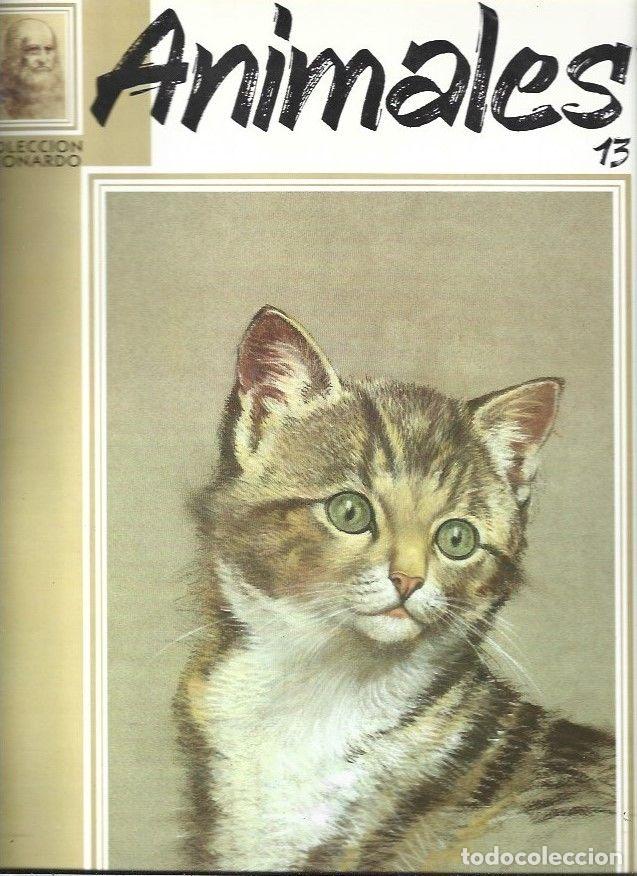 Libros: PINTEMOS LOS ANIMALES 13 - VARIOS - Foto 1