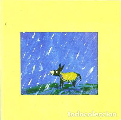 Libros: Modesto y la lluvia- 9788472903982 - Foto 1