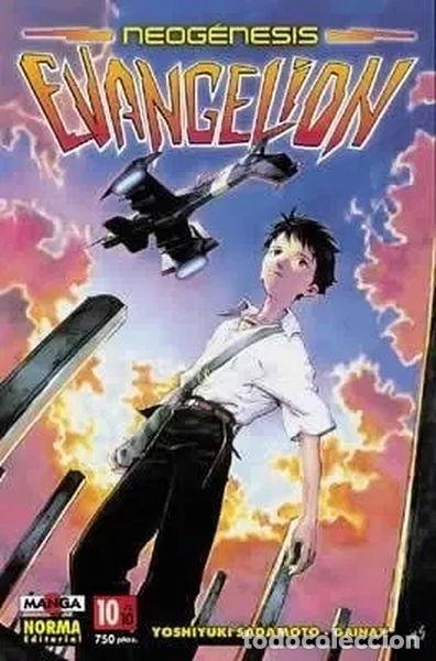 Libros: Neogenesis evangelion 10- 9788484312116 - Foto 1
