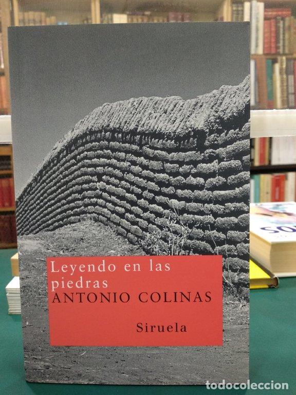 Libros: LEYENDO EN LAS PIEDRAS - Colinas, Antonio - Foto 1